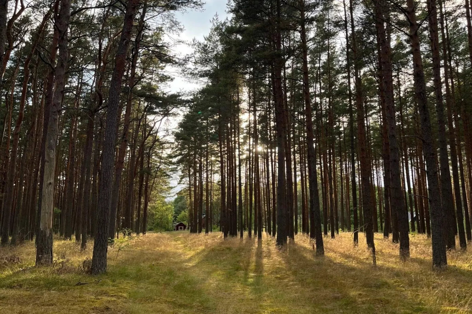 4 sterren vakantie huis in YNGSJÖ, SVERIGE - Buitenlucht