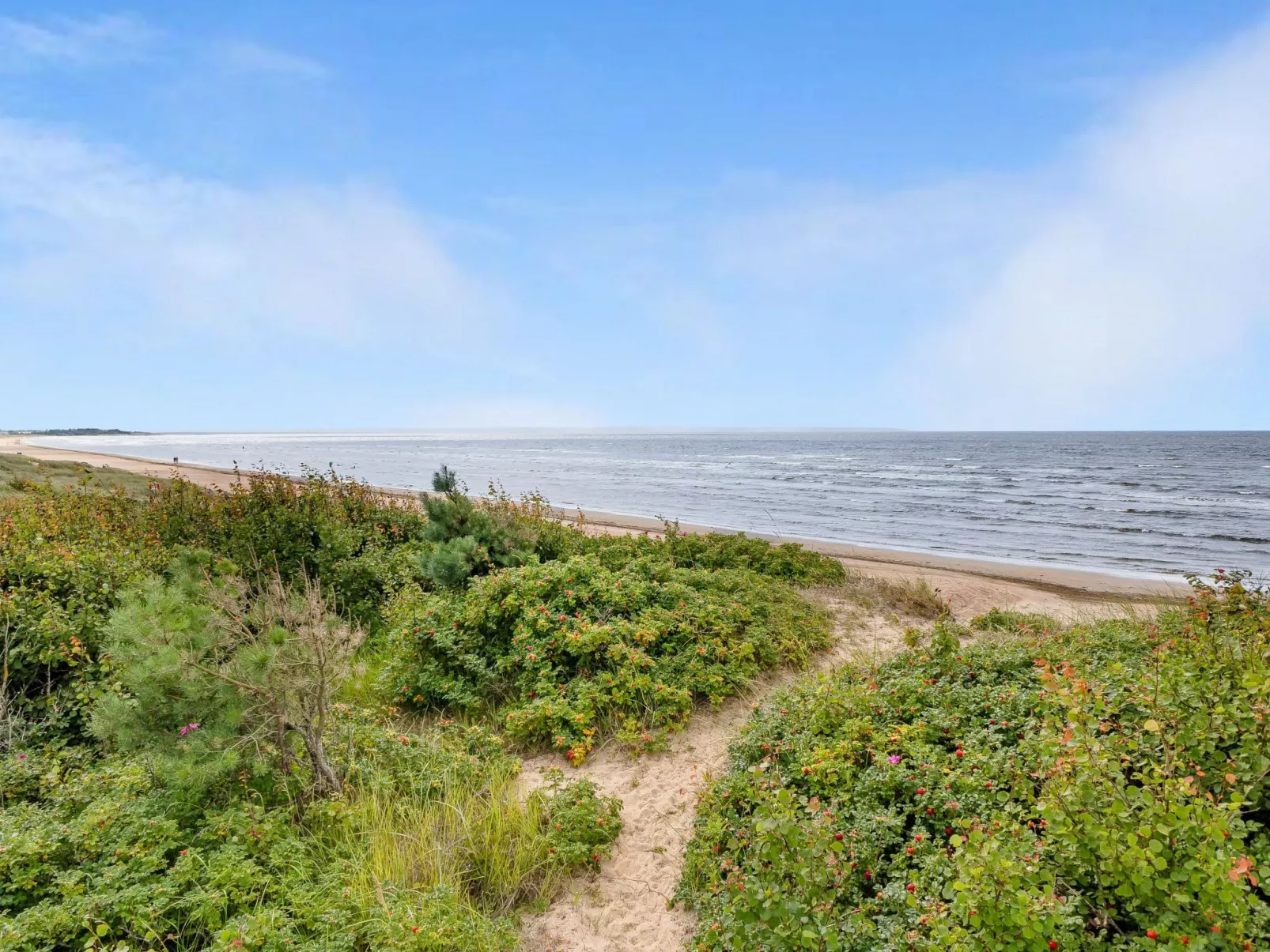 Vårhemsplatsen - Buiten