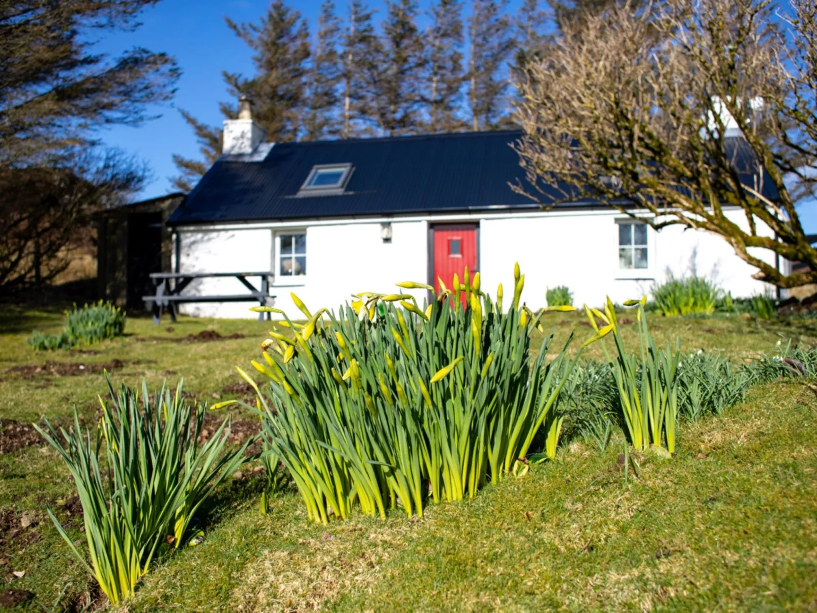 The Cottage - Buiten