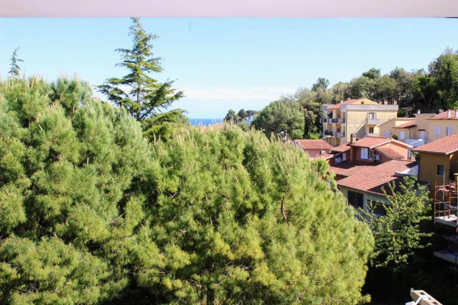 TRILO NOVELLA 2 - Uitzicht zomer