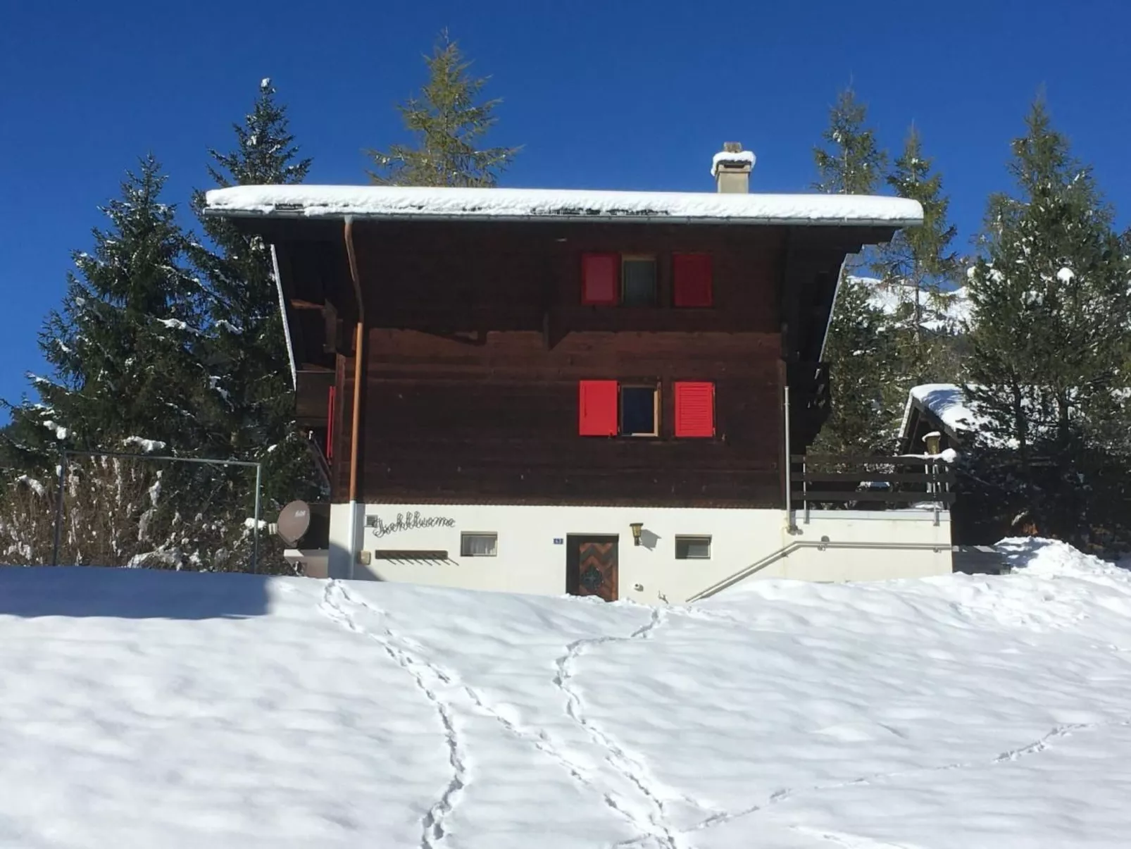 Ischblueme - Image-tags.info