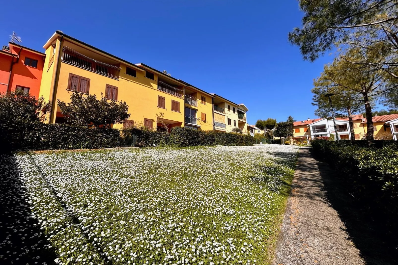 TRILO NOVELLA 2 - Buitenkant zomer