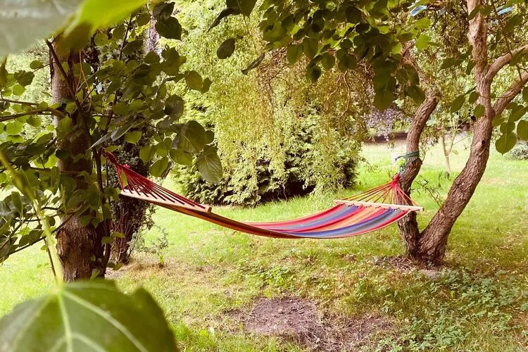 Dom przy drodze Skansen dla 8 osób Bełczna-Tuinen zomer