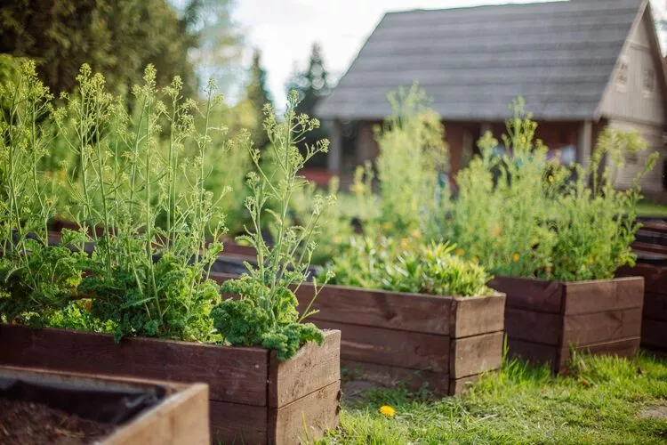 Dom przy drodze Skansen dla 8 osób Bełczna-Tuinen zomer