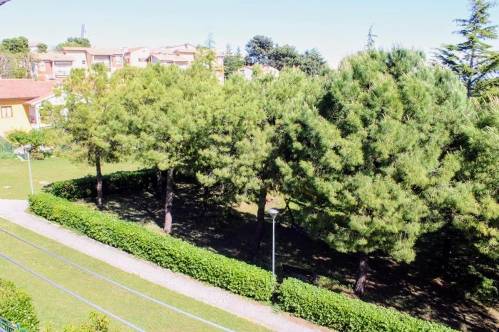 TRILO NOVELLA 2 - Uitzicht zomer