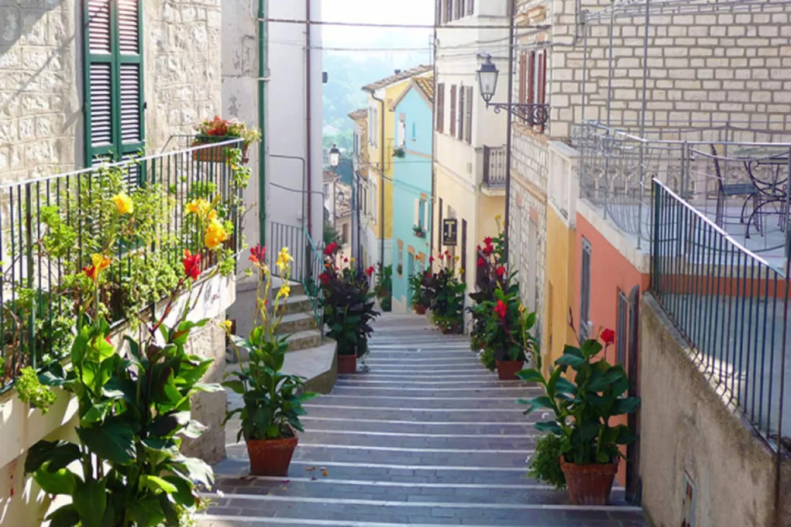 TRILO NOVELLA 2 - Gebieden zomer 1km