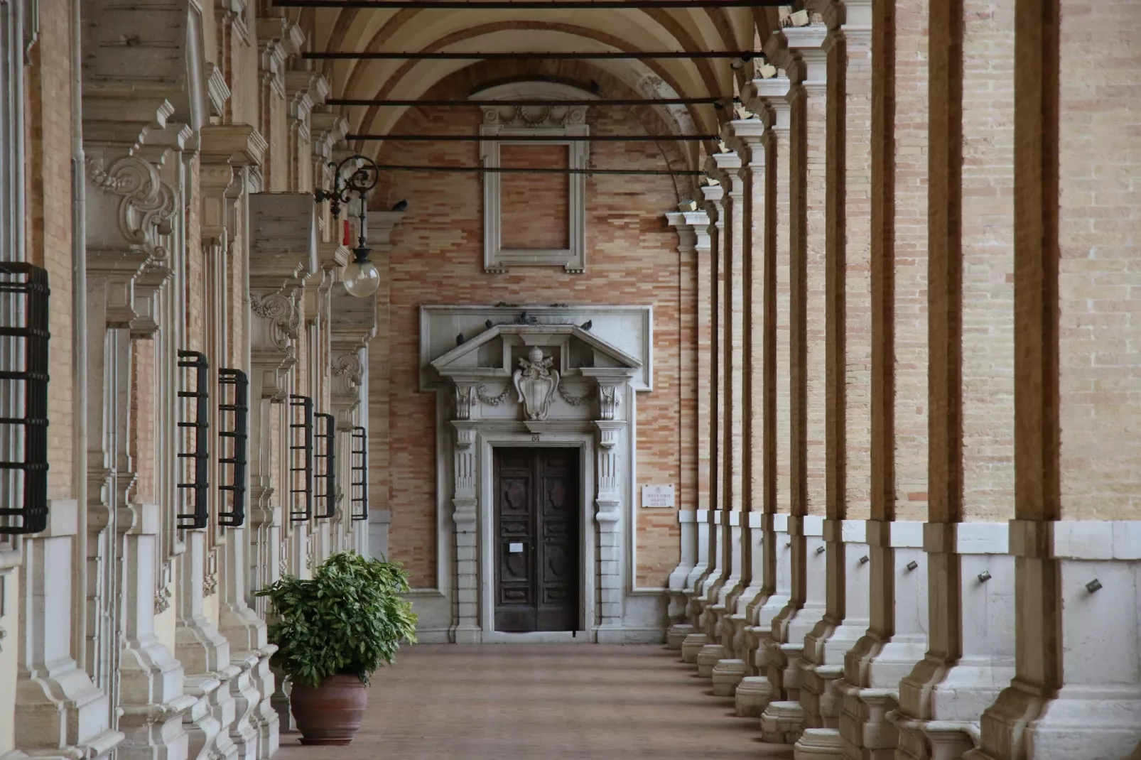 TRILO MARCO - Gebieden zomer 20km