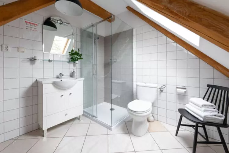Dworek w Bełcznej-Badkamer