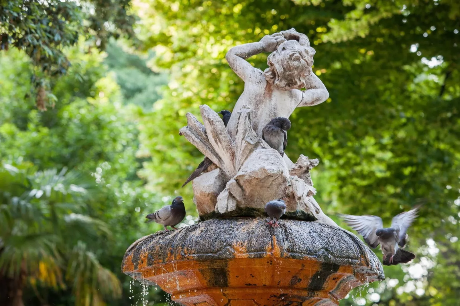 Luxury Apartment Luft Split Near Old Town - Gebieden zomer 5km