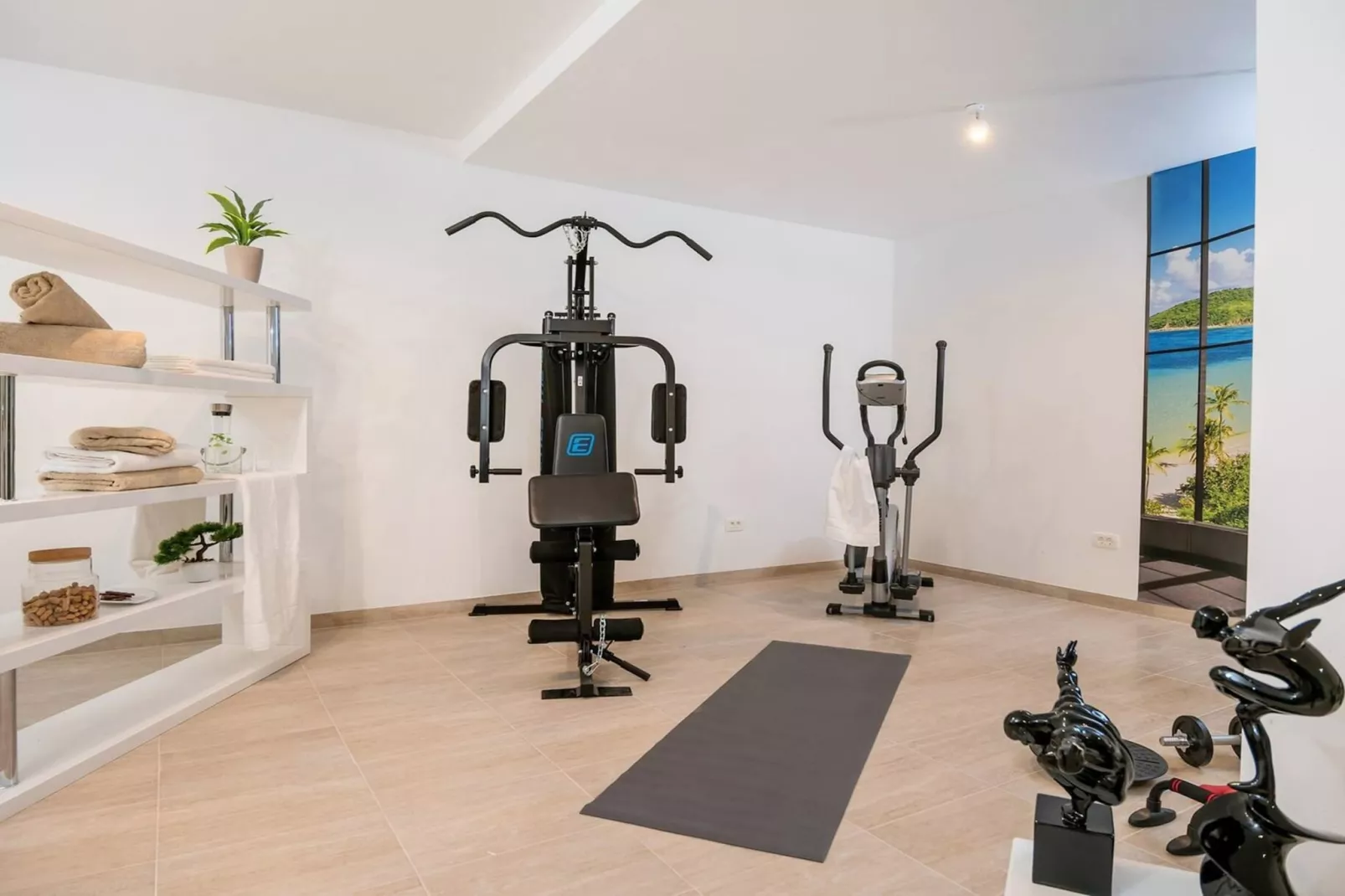 Luxury Villa Happiness Omis with Pool, Gym & Sauna - Faciliteiten