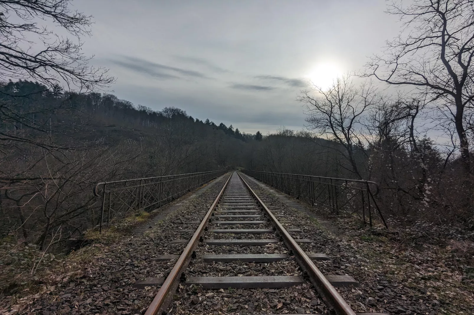 Family Suite / Standard Suit Room - Gebieden zomer 5km