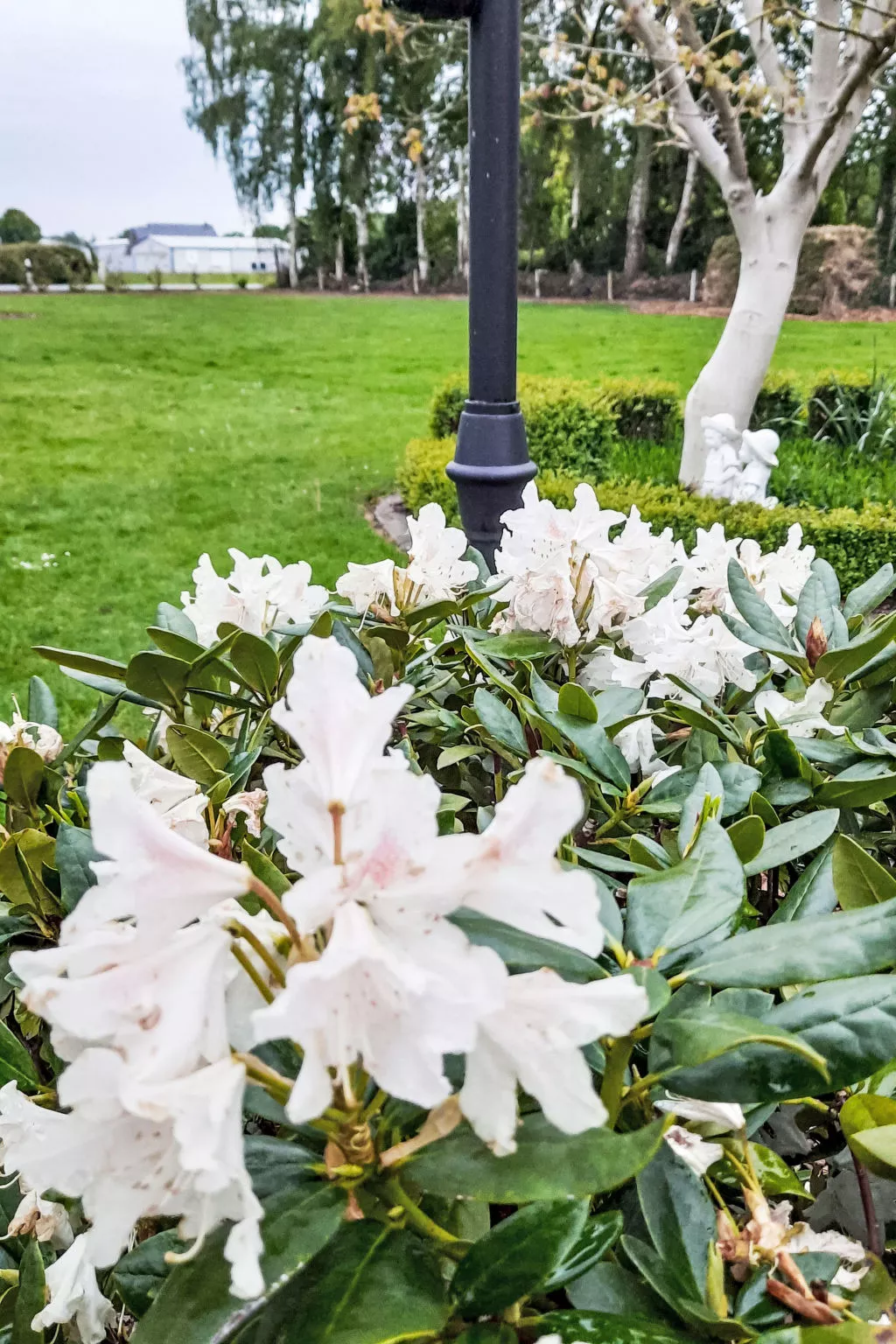 Fewo Schlingshöhe - Buiten