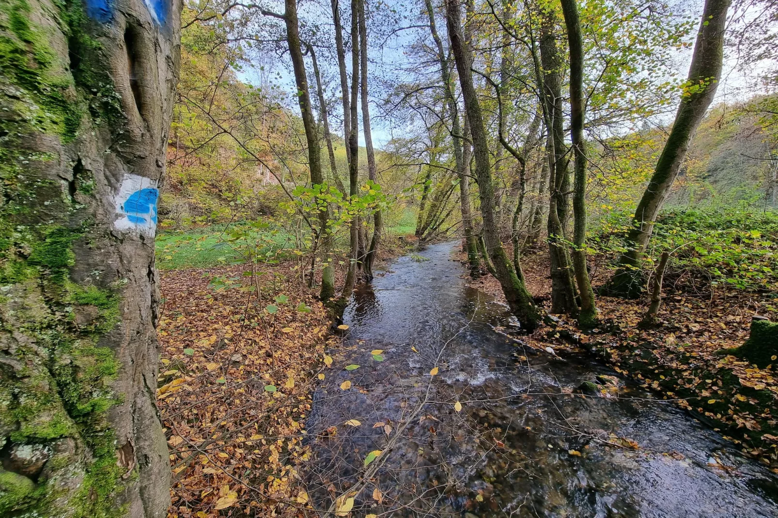 Double Room with Balcony - Gebieden zomer 5km