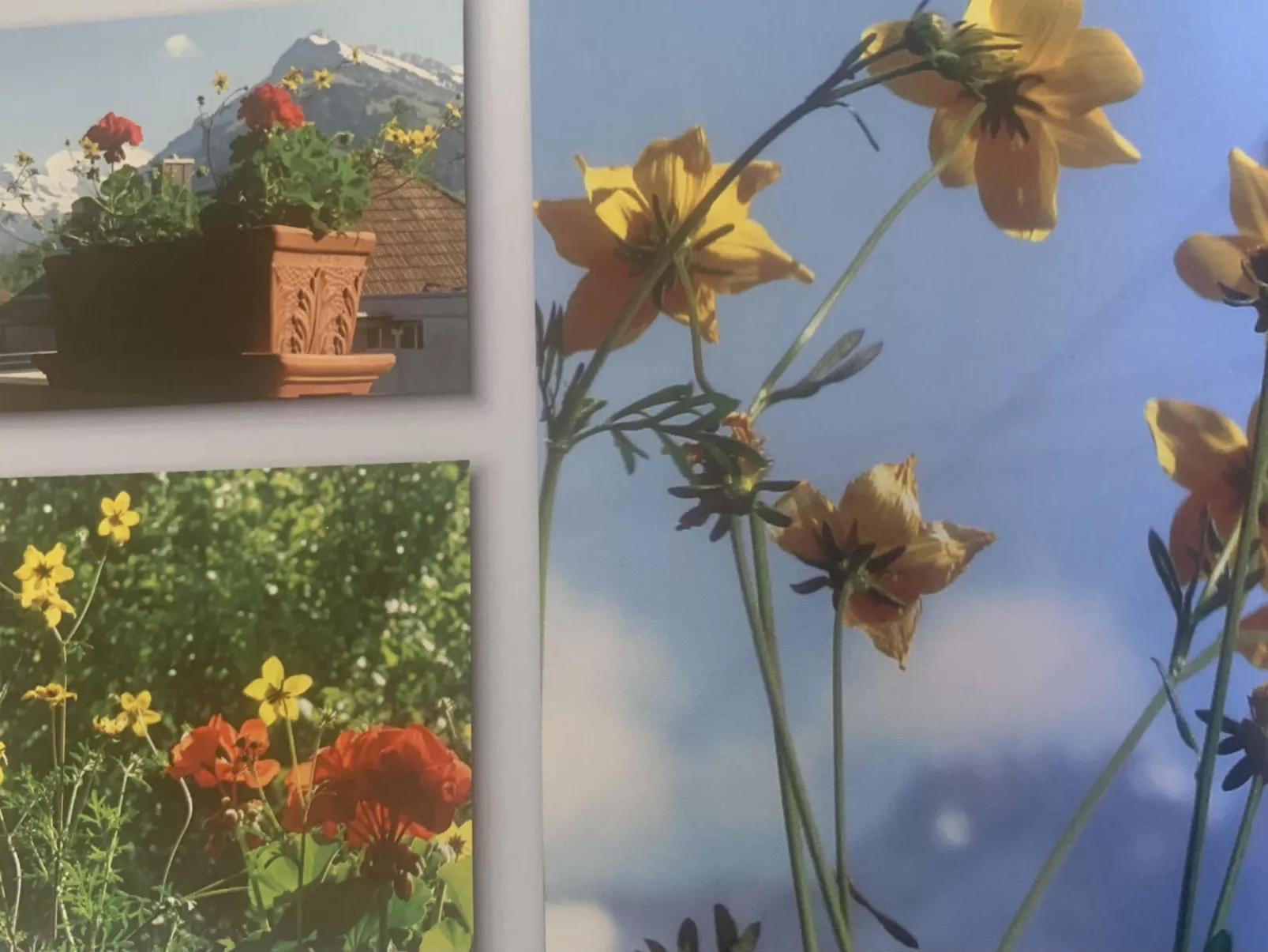 Gartenstudio "Belle Vue" - Binnen