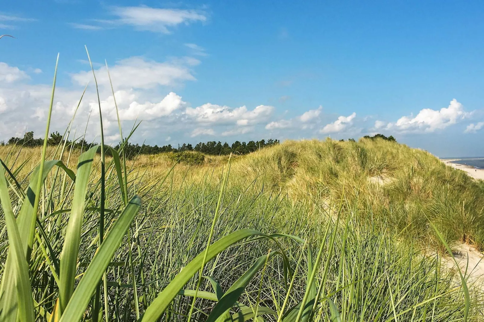 Luxe vakantiewoning in Jerup met een grote tuin