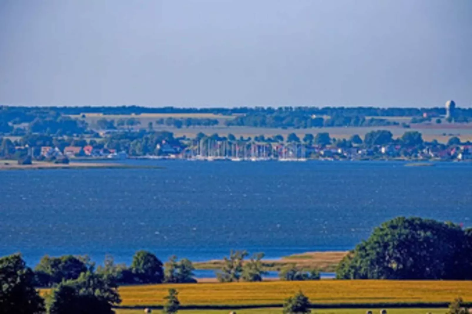 Ferienhaus Lotsenhaus Vieregge - Gebieden zomer 5km
