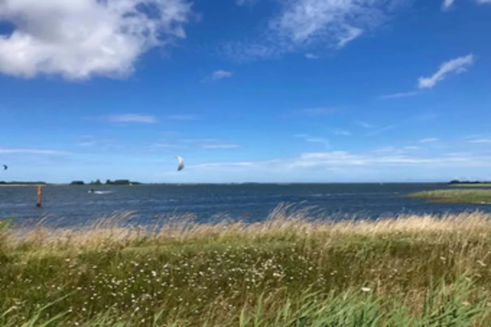 Ferienhaus Lotsenhaus Vieregge - Gebieden zomer 5km