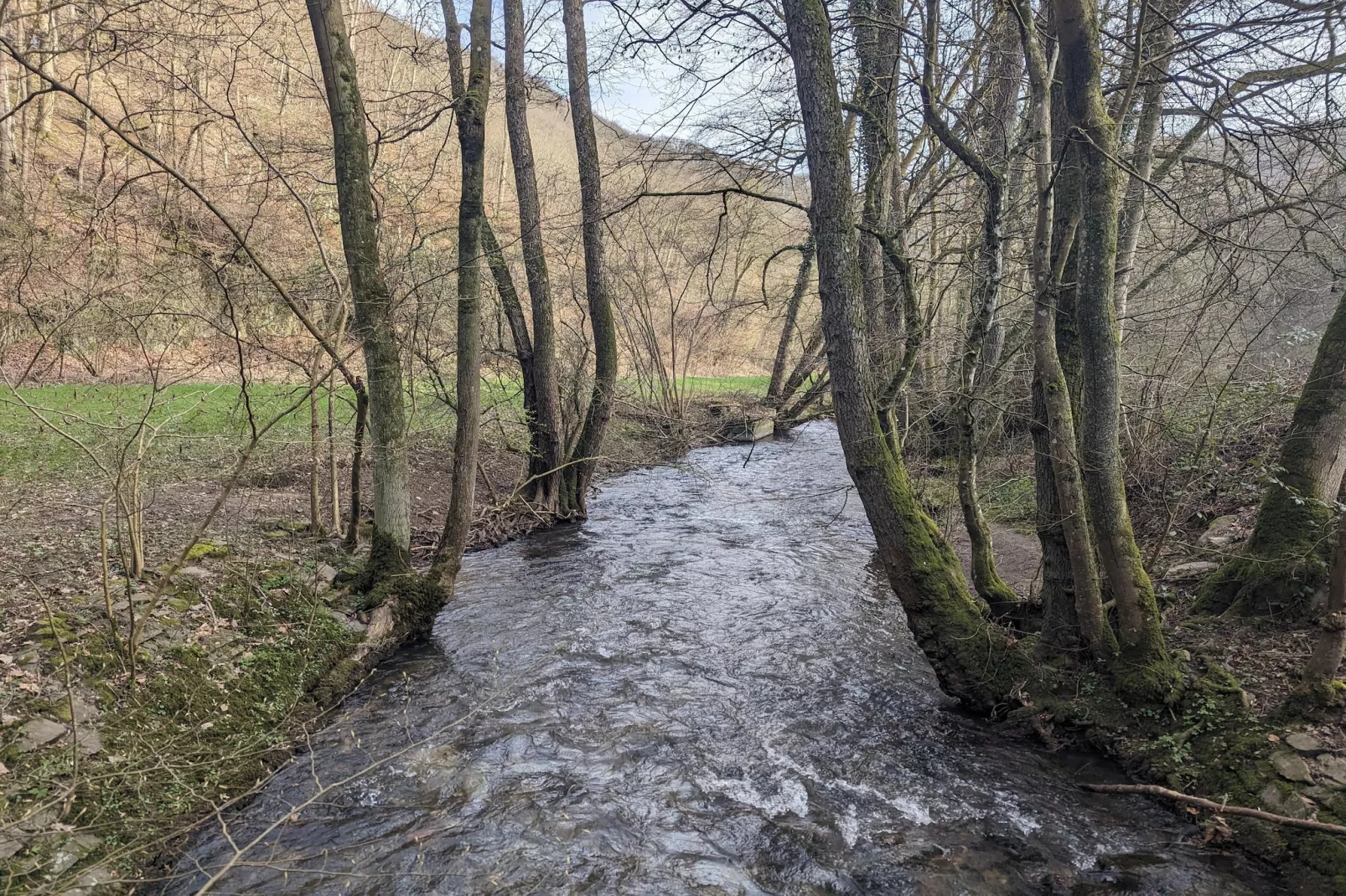 Twin Room - Gebieden zomer 5km