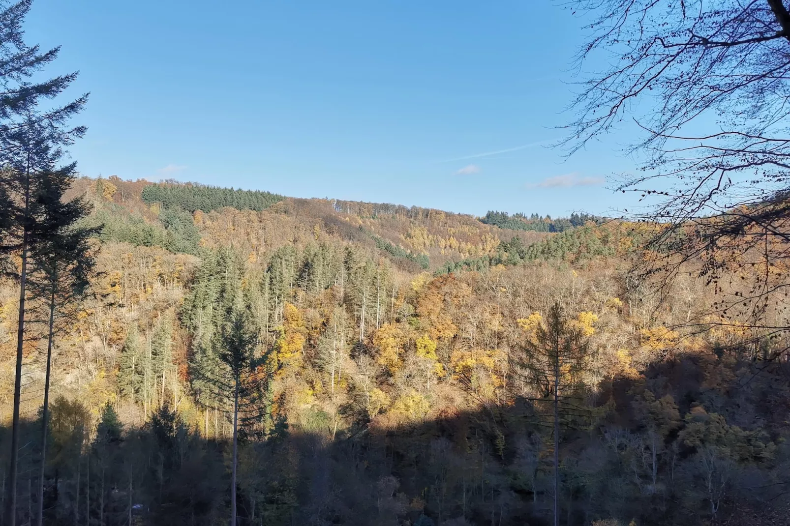 Single Room - Gebieden zomer 5km