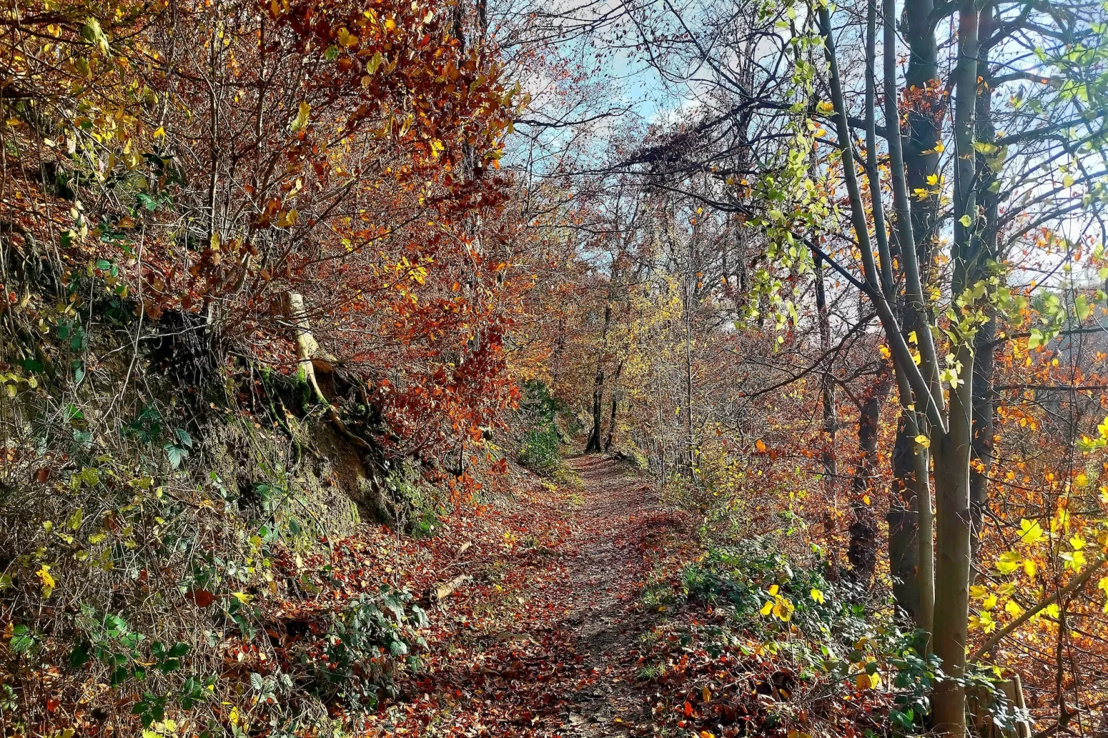 Twin Room - Gebieden zomer 5km
