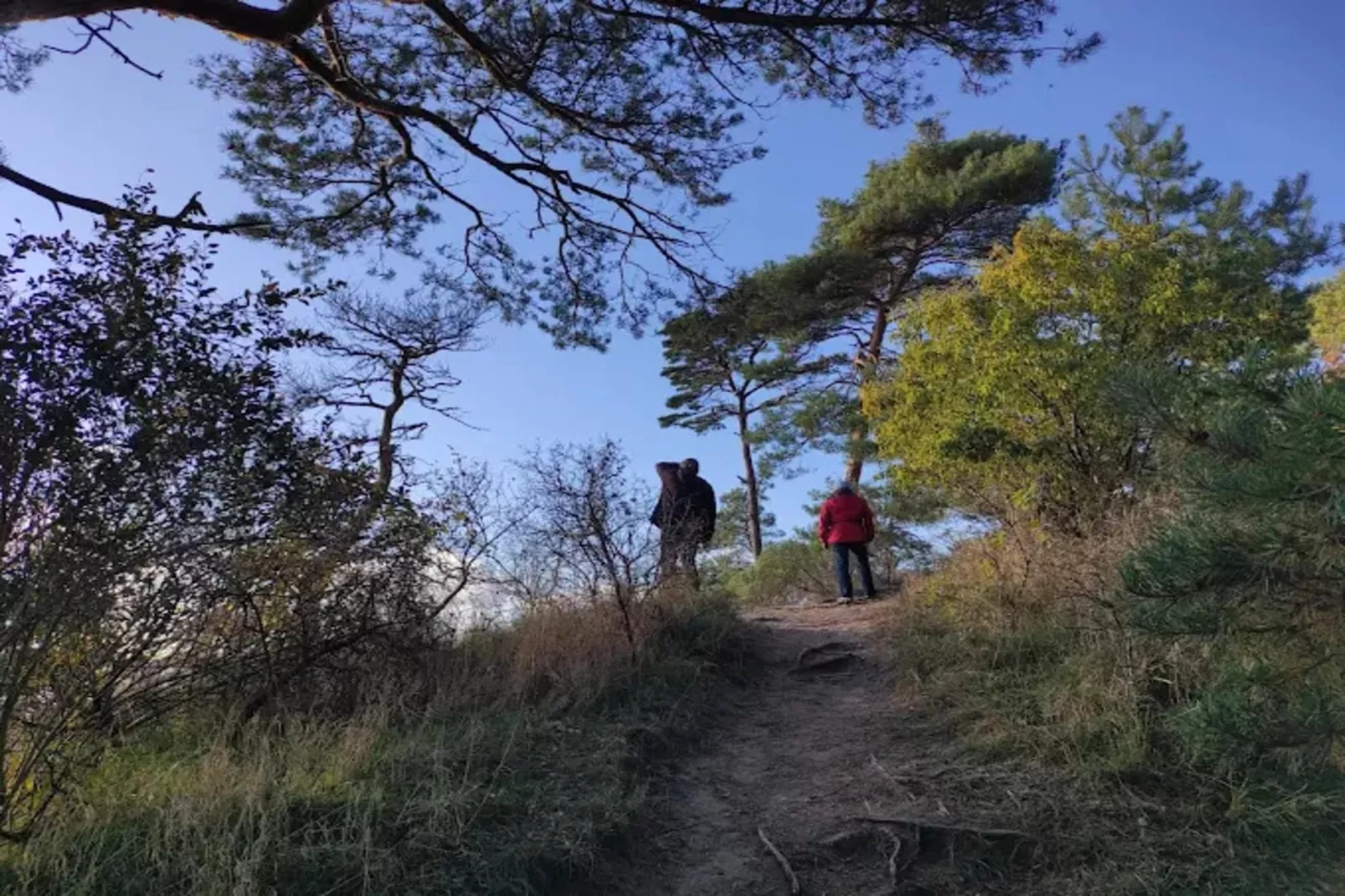 Appartement 5 - Gebieden zomer 1km