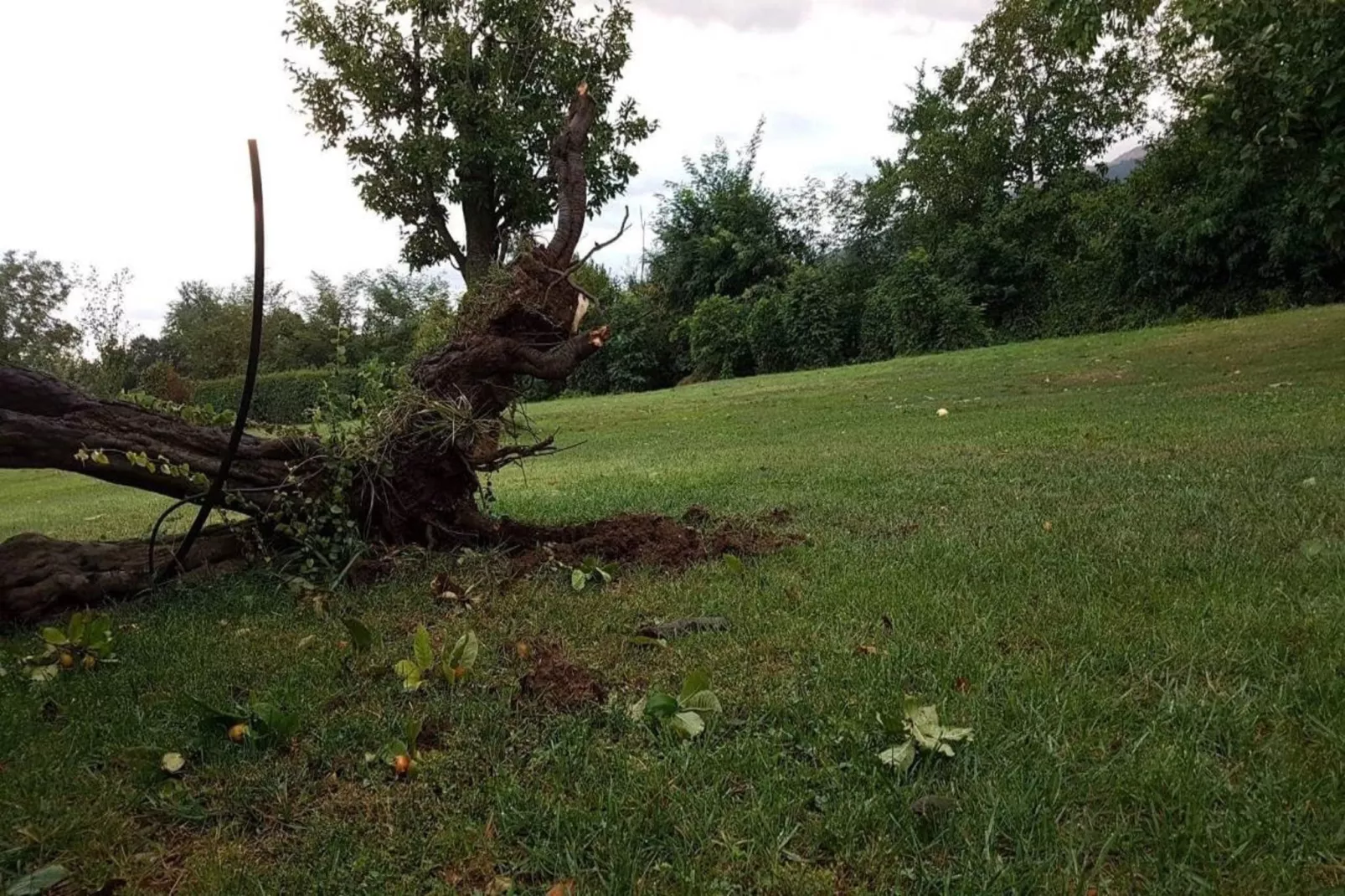 Family Suite / Standard Suit Room - Gebieden zomer 5km