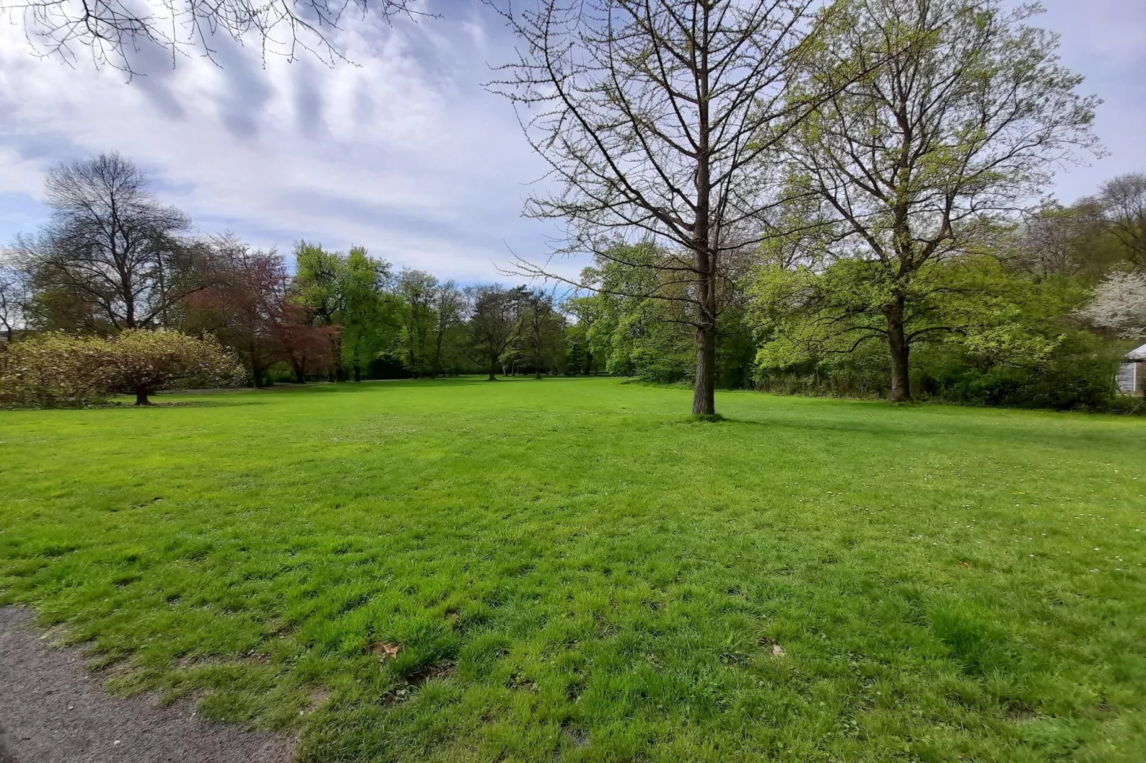 Single Room - Gebieden zomer 5km