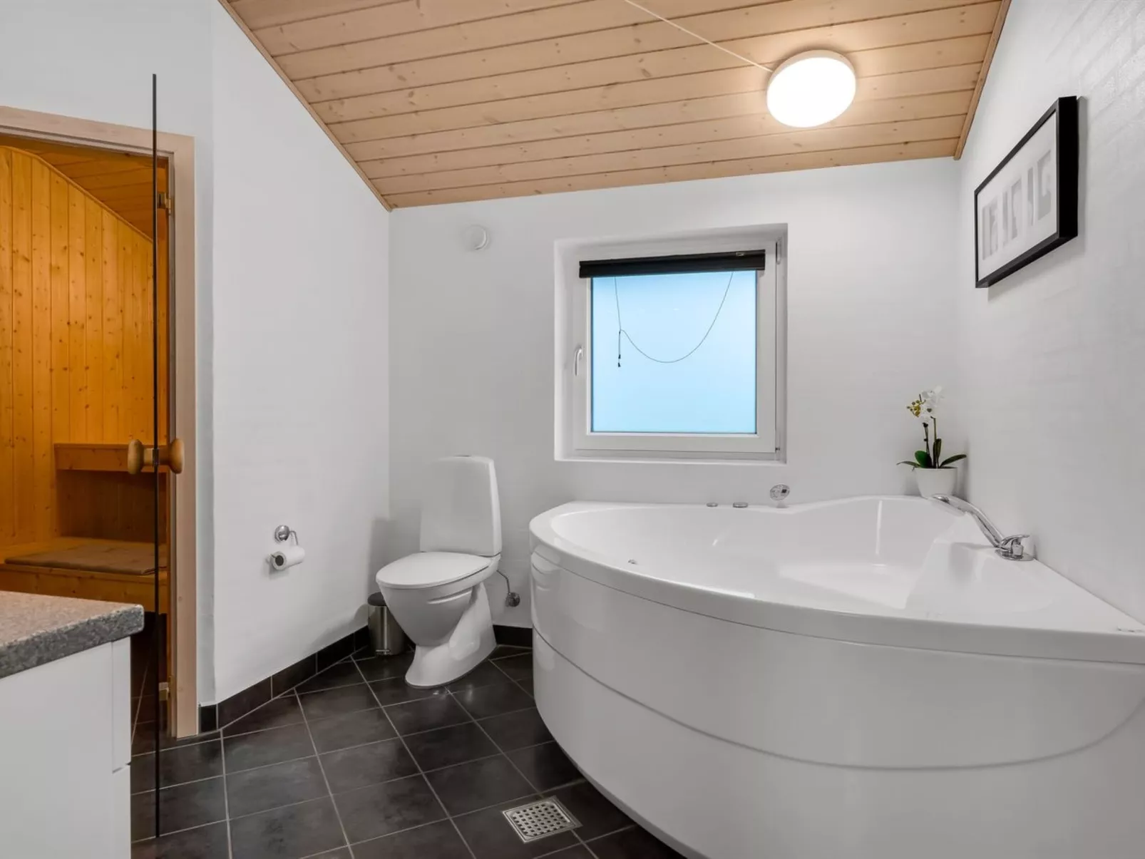 "Erikka" - 40km from the sea - Binnen