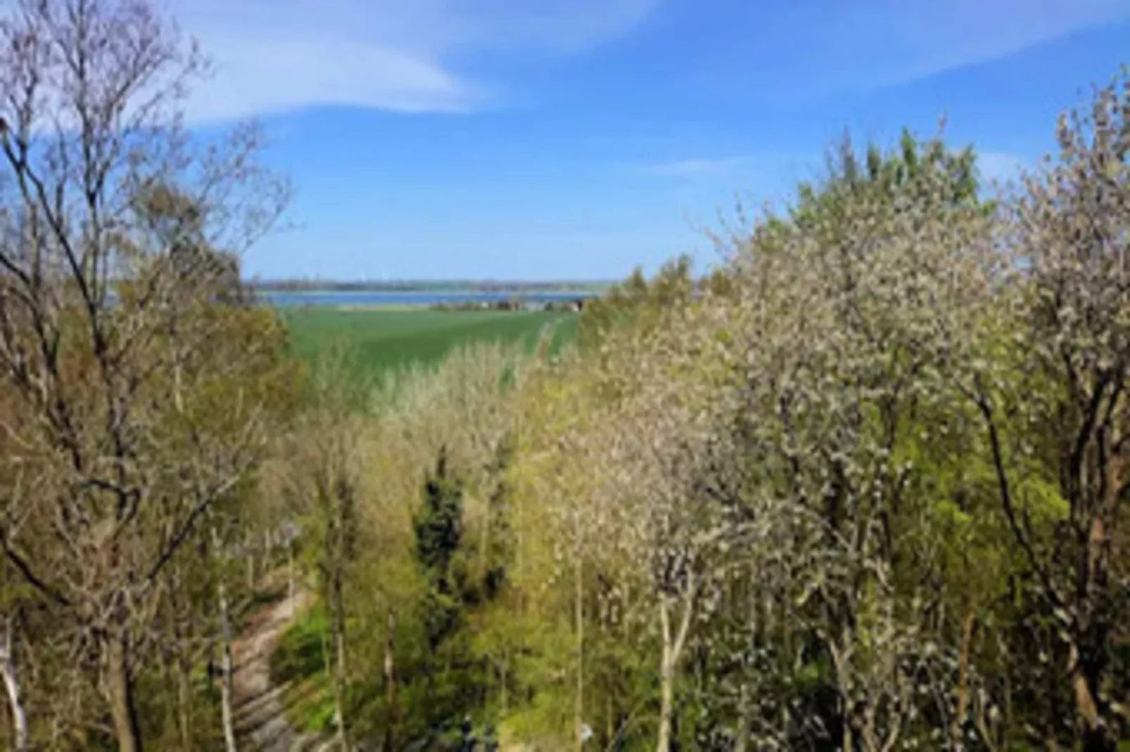 Ferienhaus Lotsenhaus Vieregge - Gebieden zomer 5km
