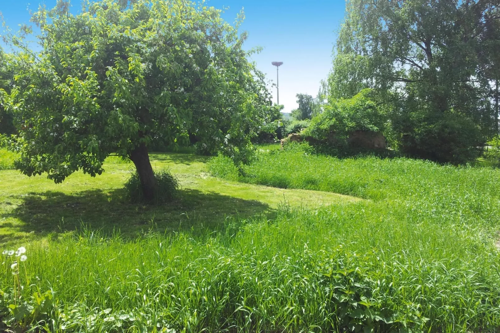 Ferienhaus 195 qm - Tuinen zomer
