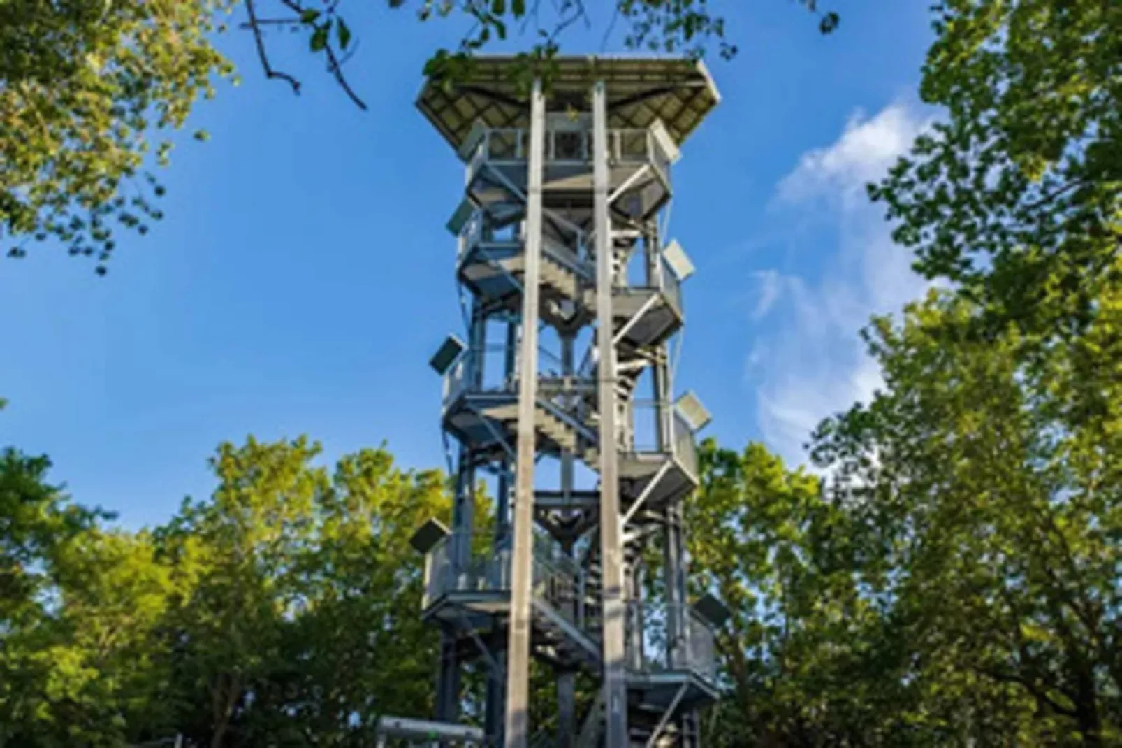 Ferienhaus Lotsenhaus Vieregge - Gebieden zomer 5km