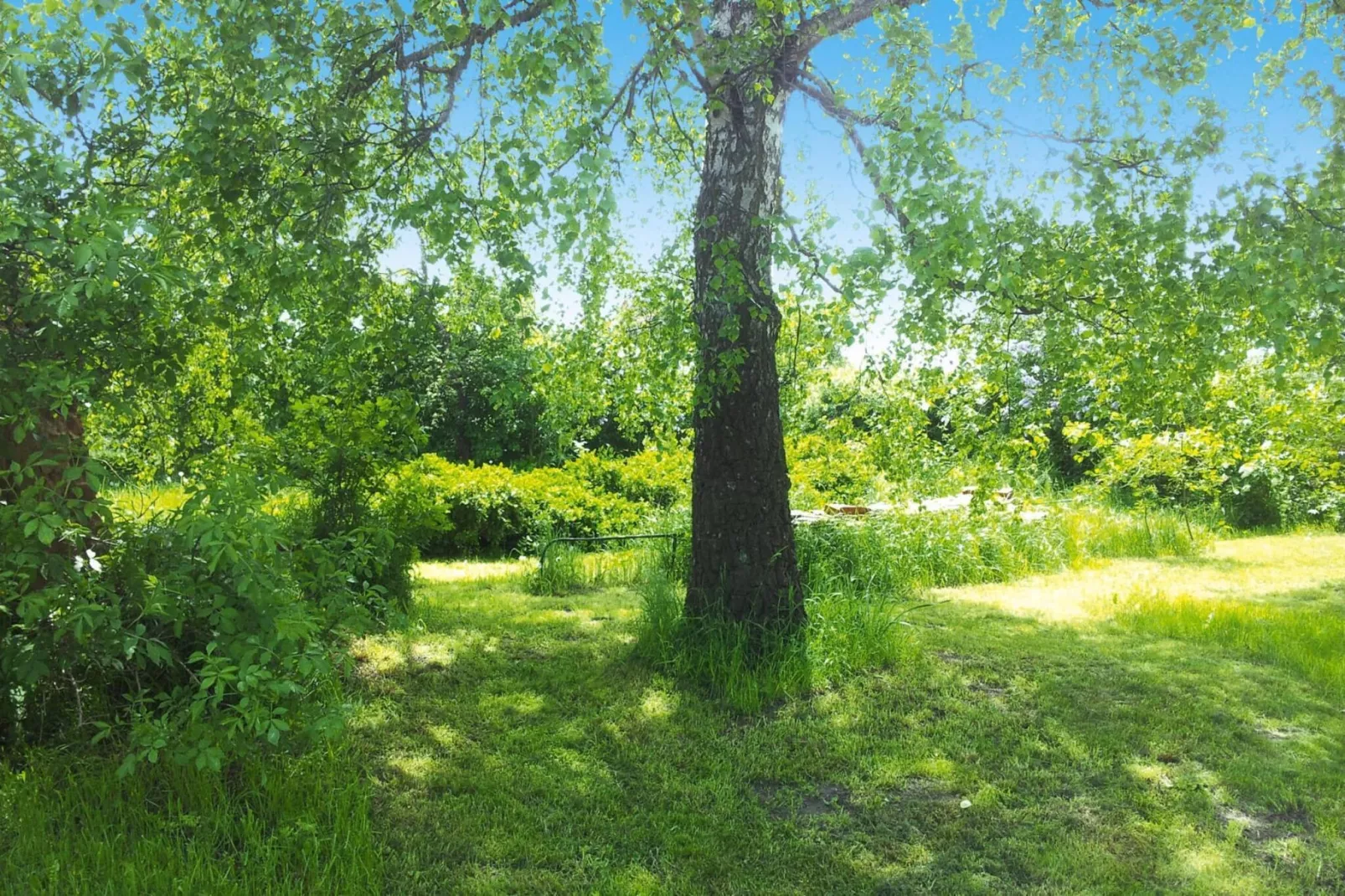 Ferienhaus 195 qm - Tuinen zomer