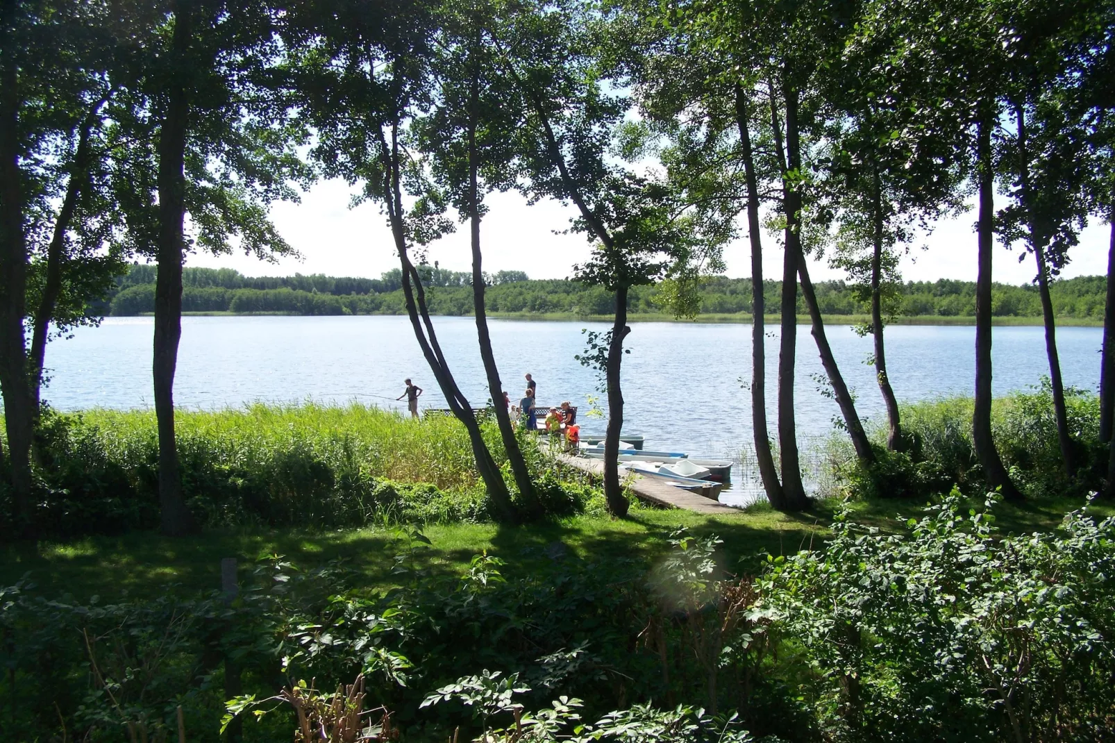 Fewo U05 5 P EG rollstuhlgerecht - Gebieden zomer 1km