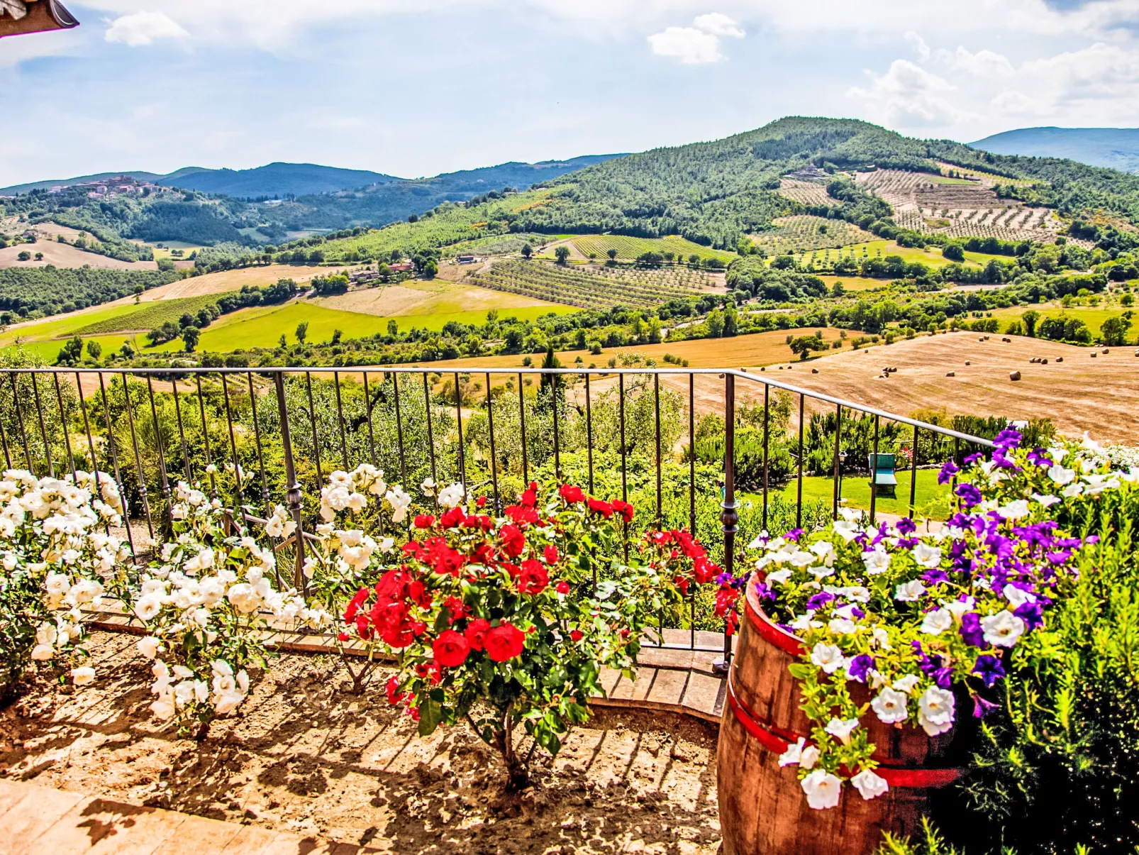 Agriturismo Belvedere delle Crete - Buiten
