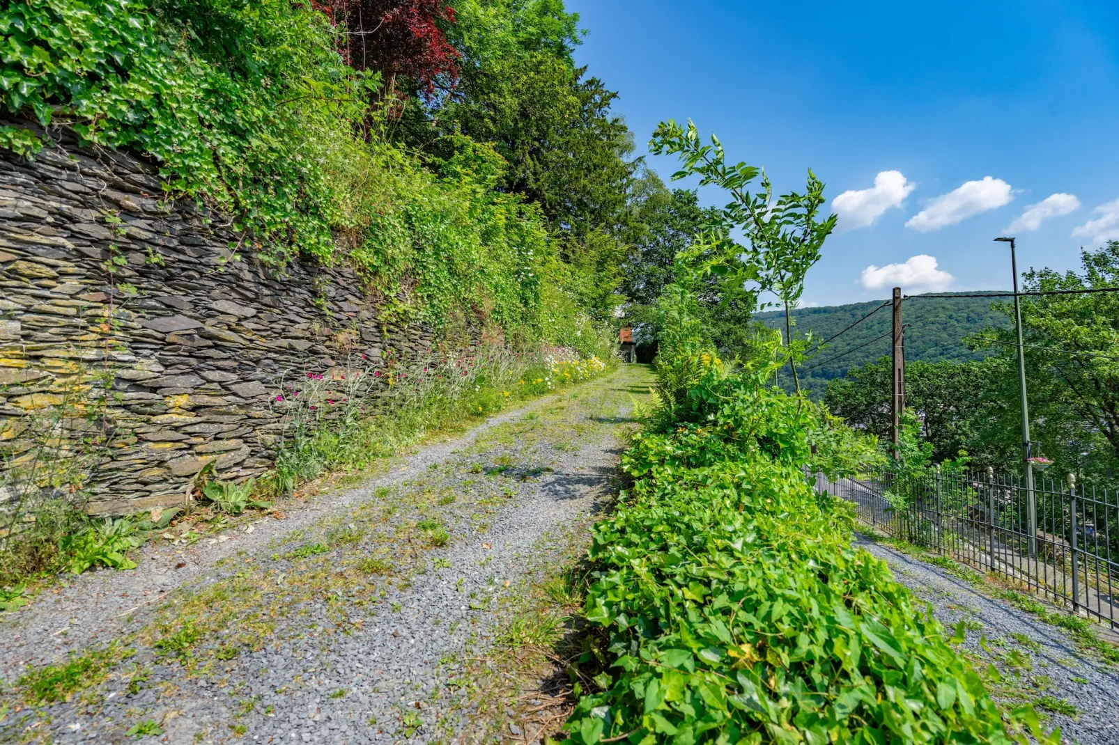 Chateau Constance volledig - Tuinen zomer