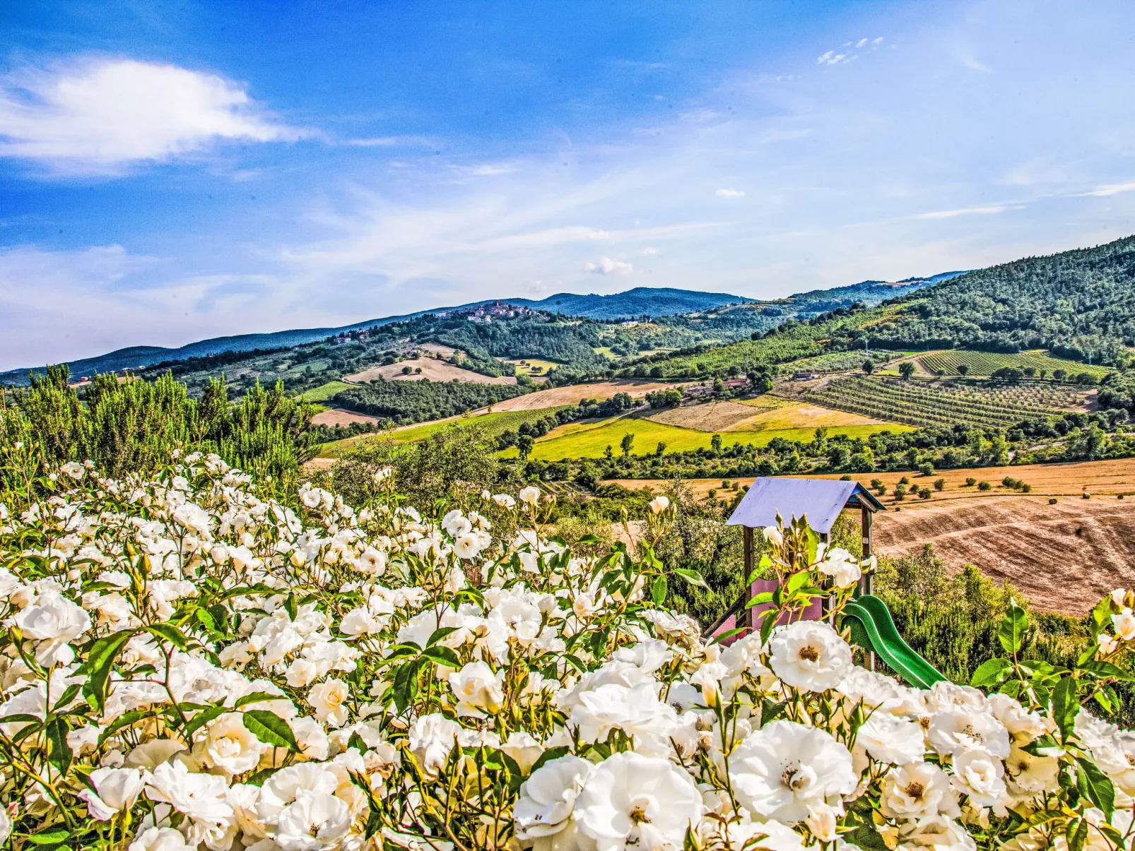 Agriturismo Belvedere delle Crete - Buiten