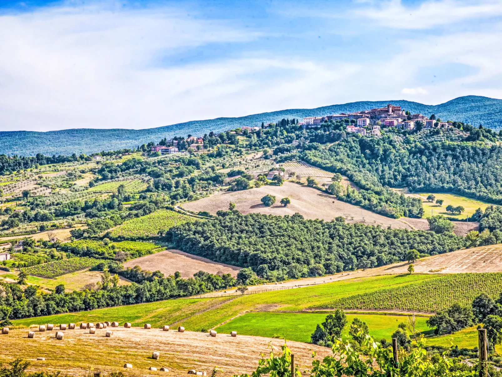 Agriturismo Belvedere delle Crete - Buiten