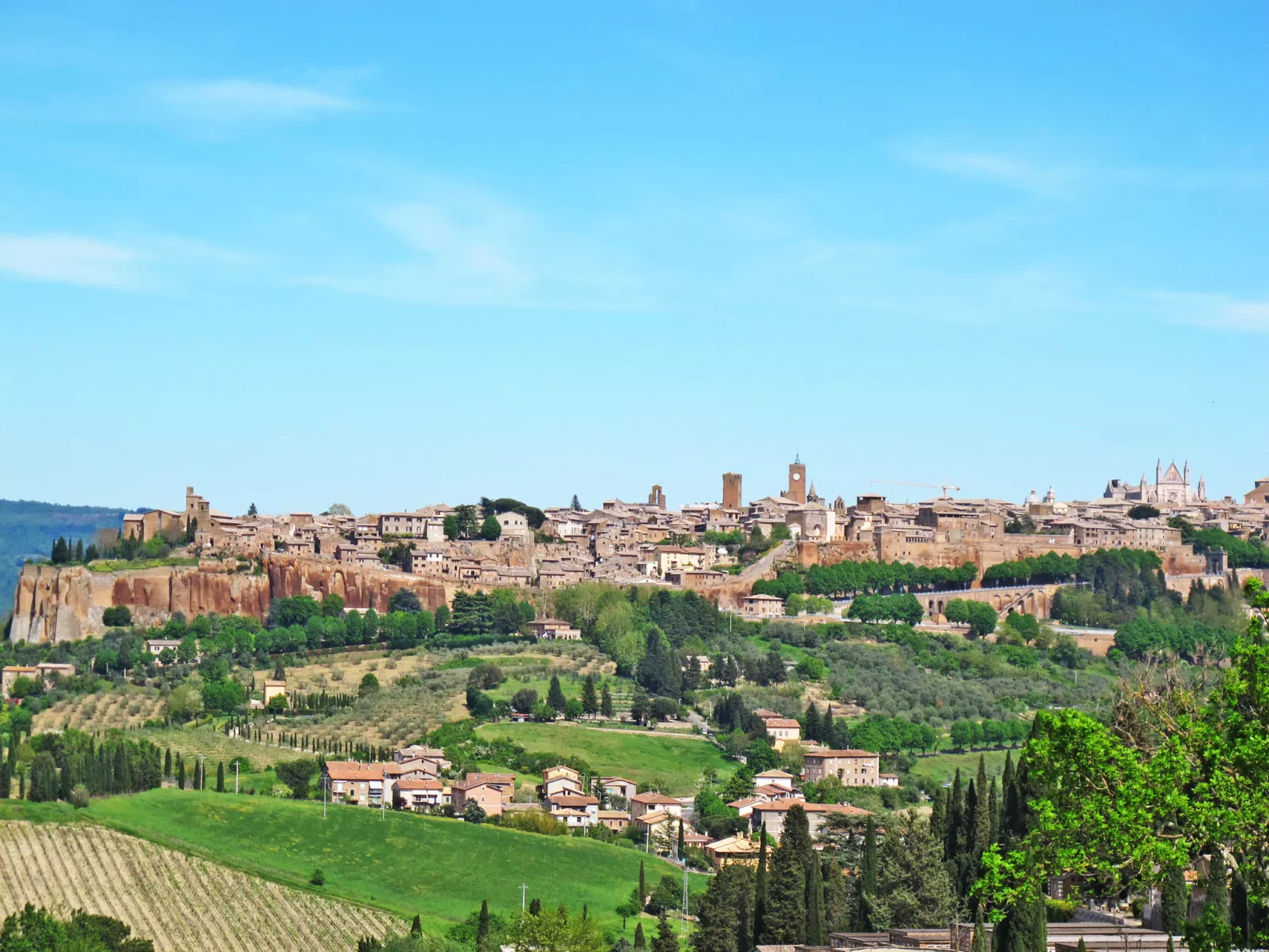 Agriturismo Belvedere delle Crete - Omgeving