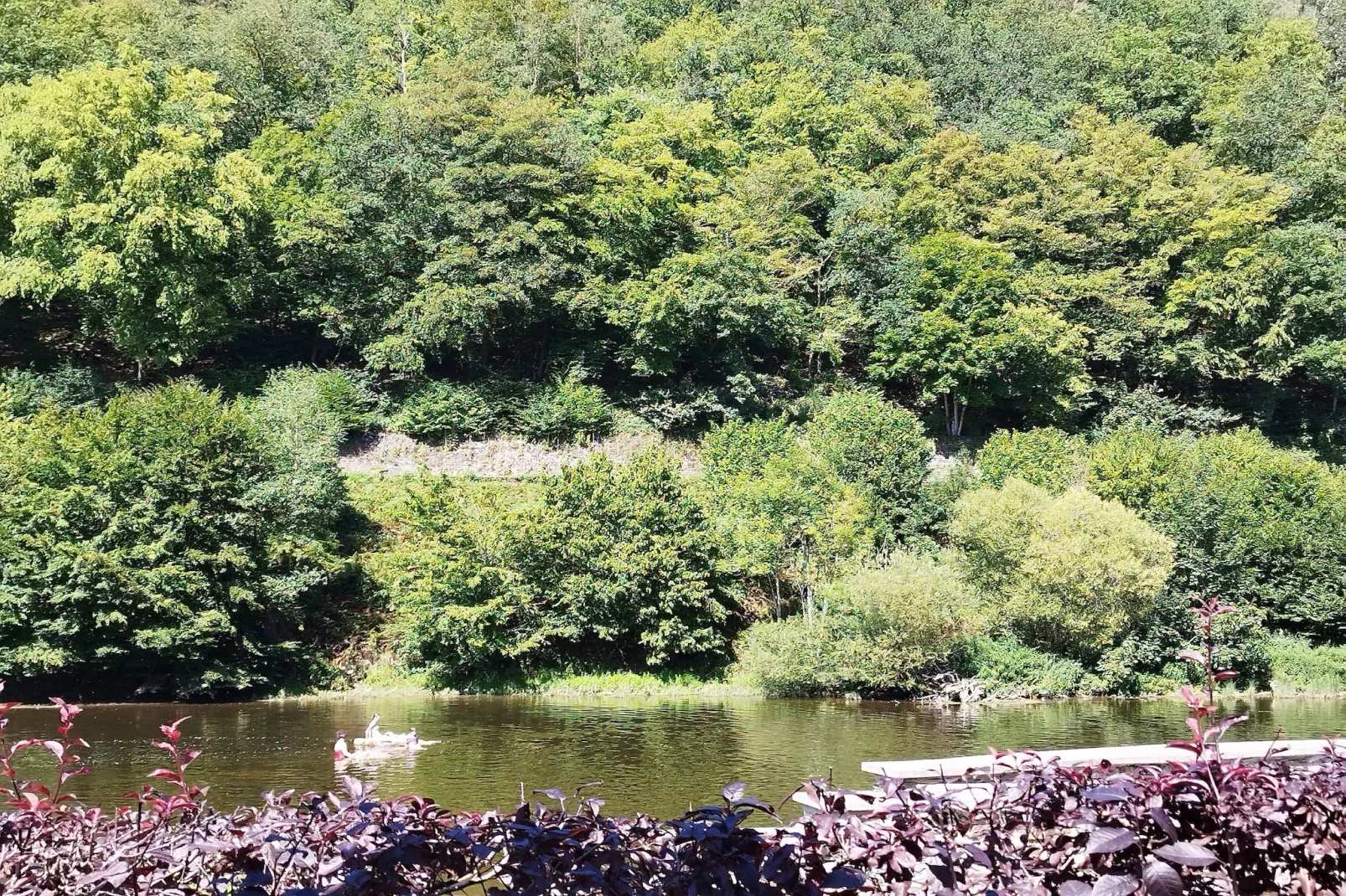 Au Coeur d'Alle Single Room - Gebieden zomer 5km