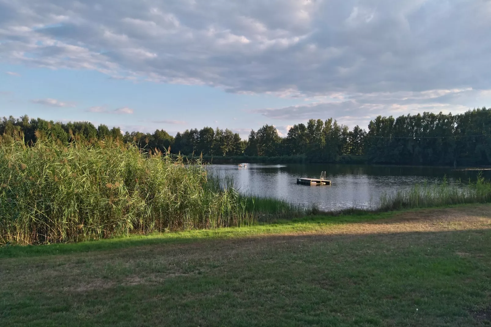 Single Room - Gebieden zomer 5km