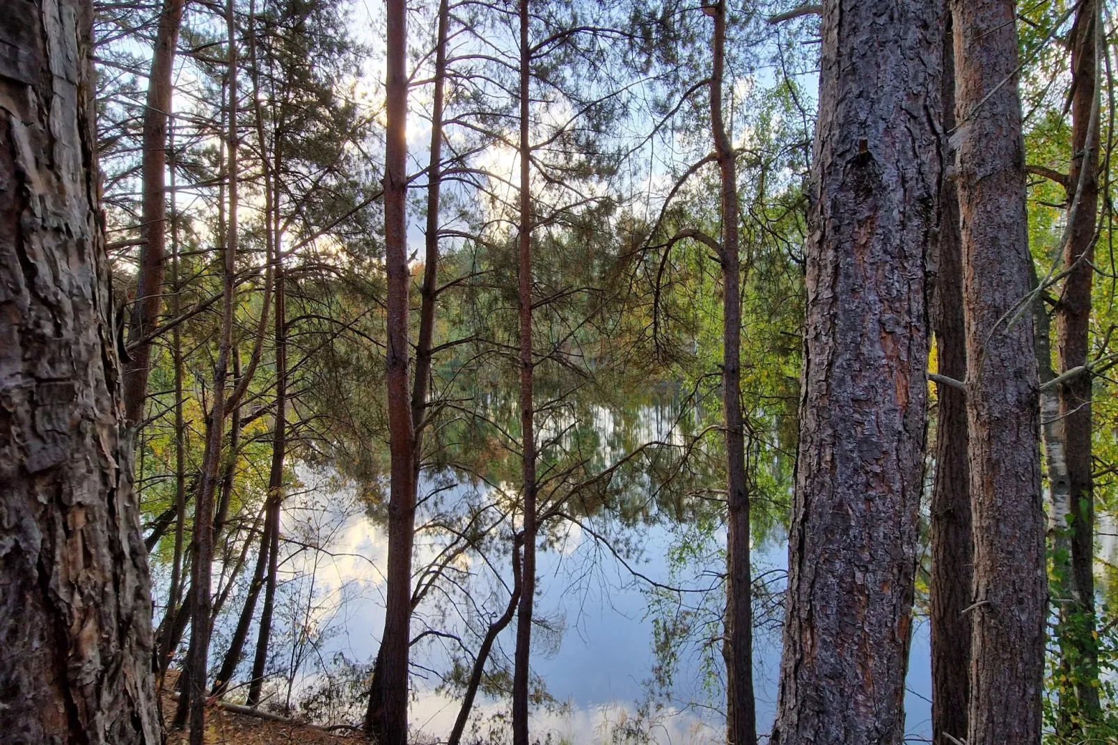 Single Room With Balcony - Gebieden zomer 5km