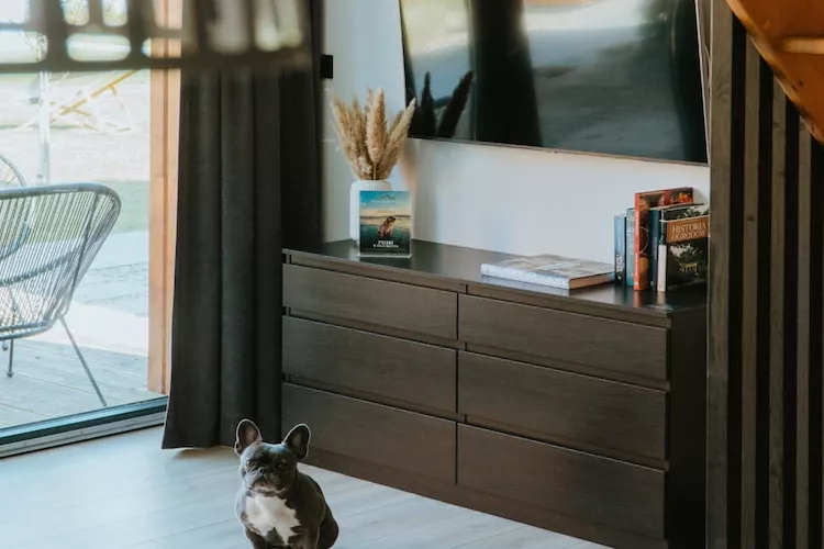 Domy wakacyjne i apartamenty w Niechorzu