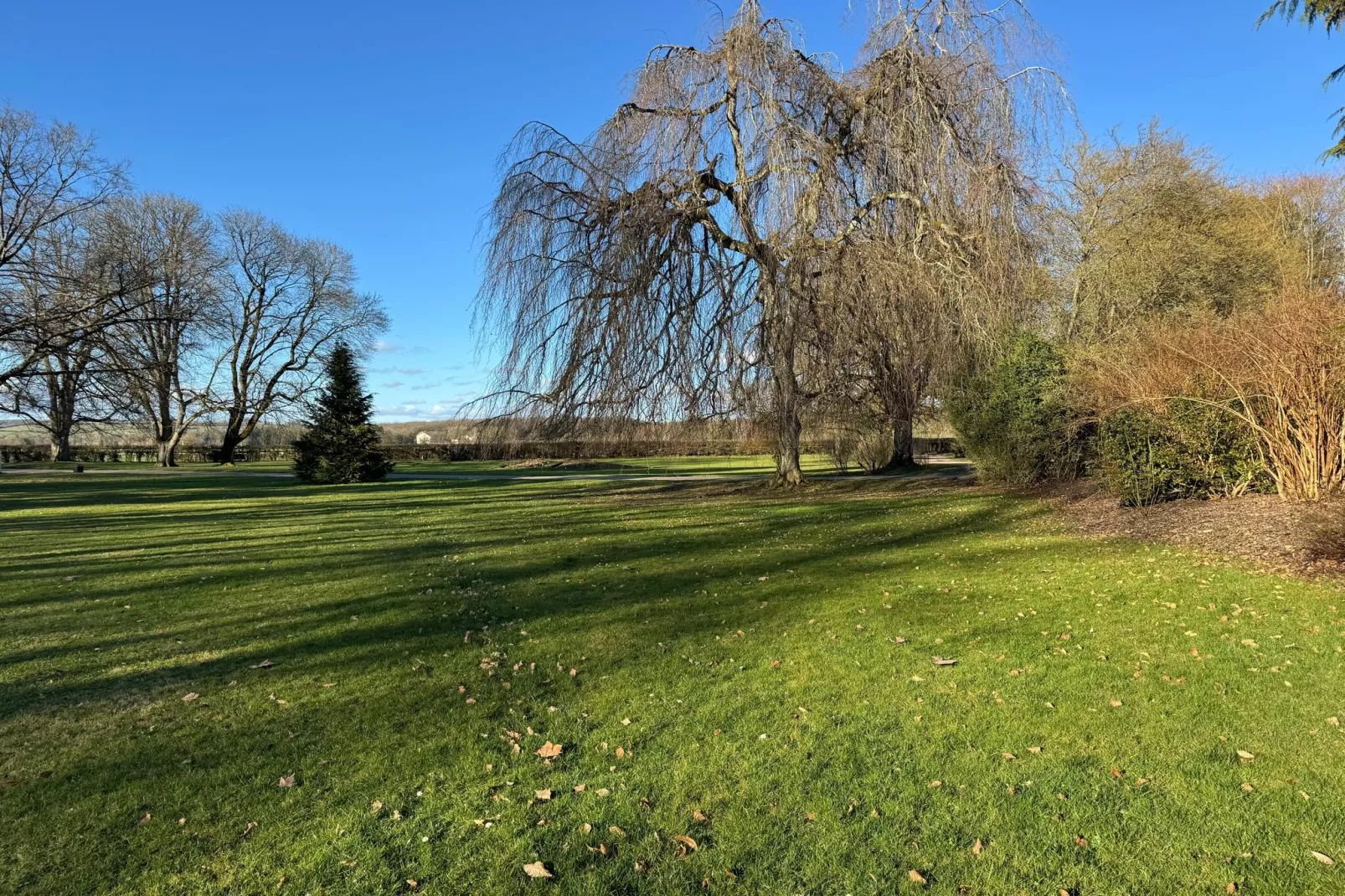 Appartement avec la petite cour - Gebied winter 1km