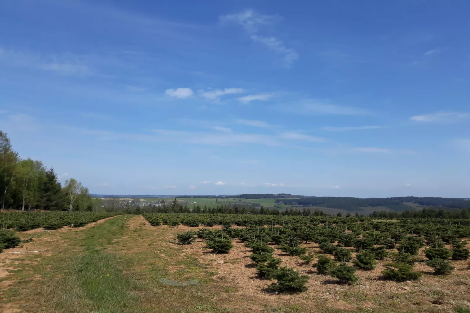 Au Coeur d'Alle - Double Room with Large Double Bed - Gebieden zomer 5km