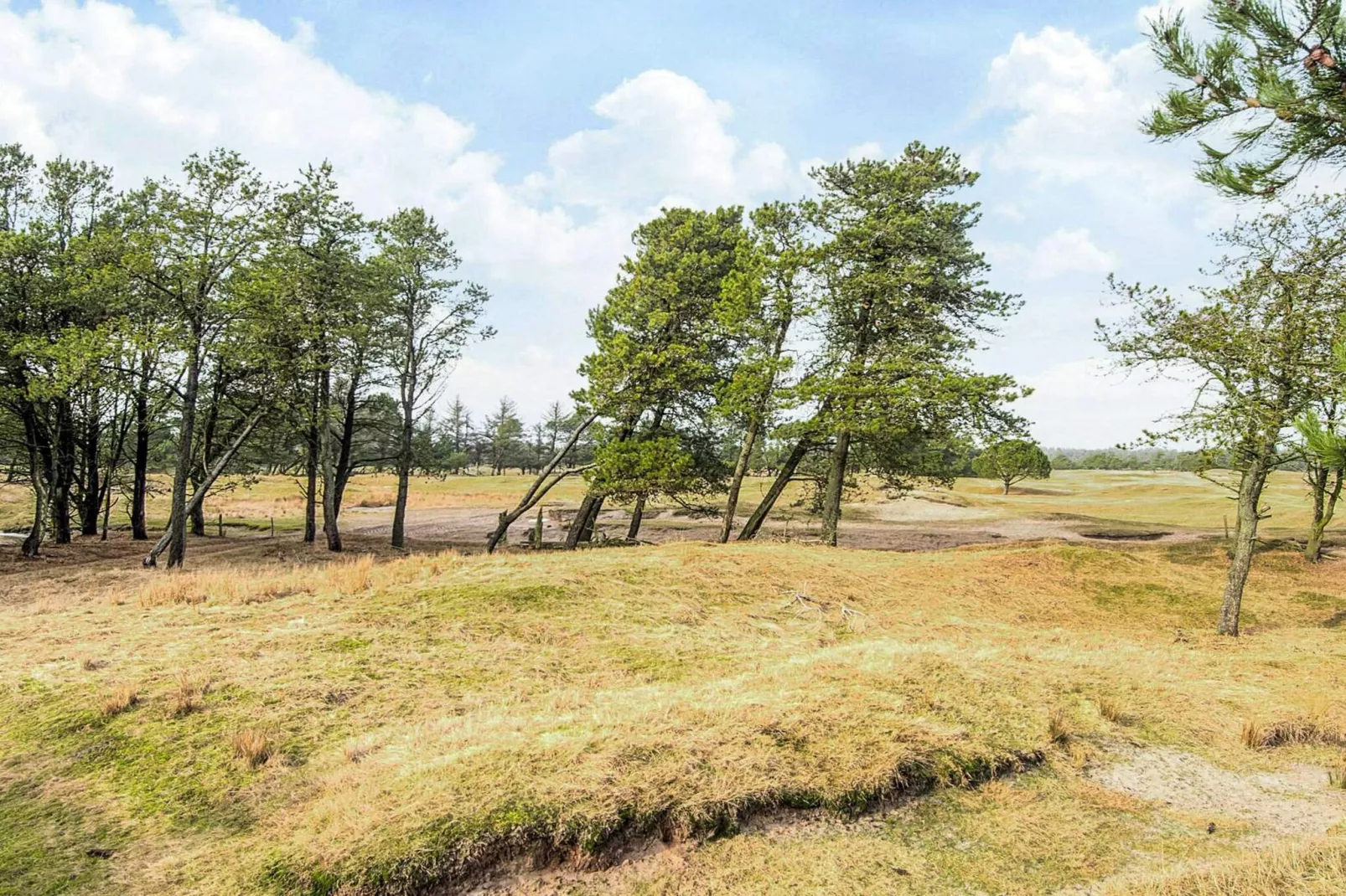 7 Personen vakantie huis in Fjerritslev