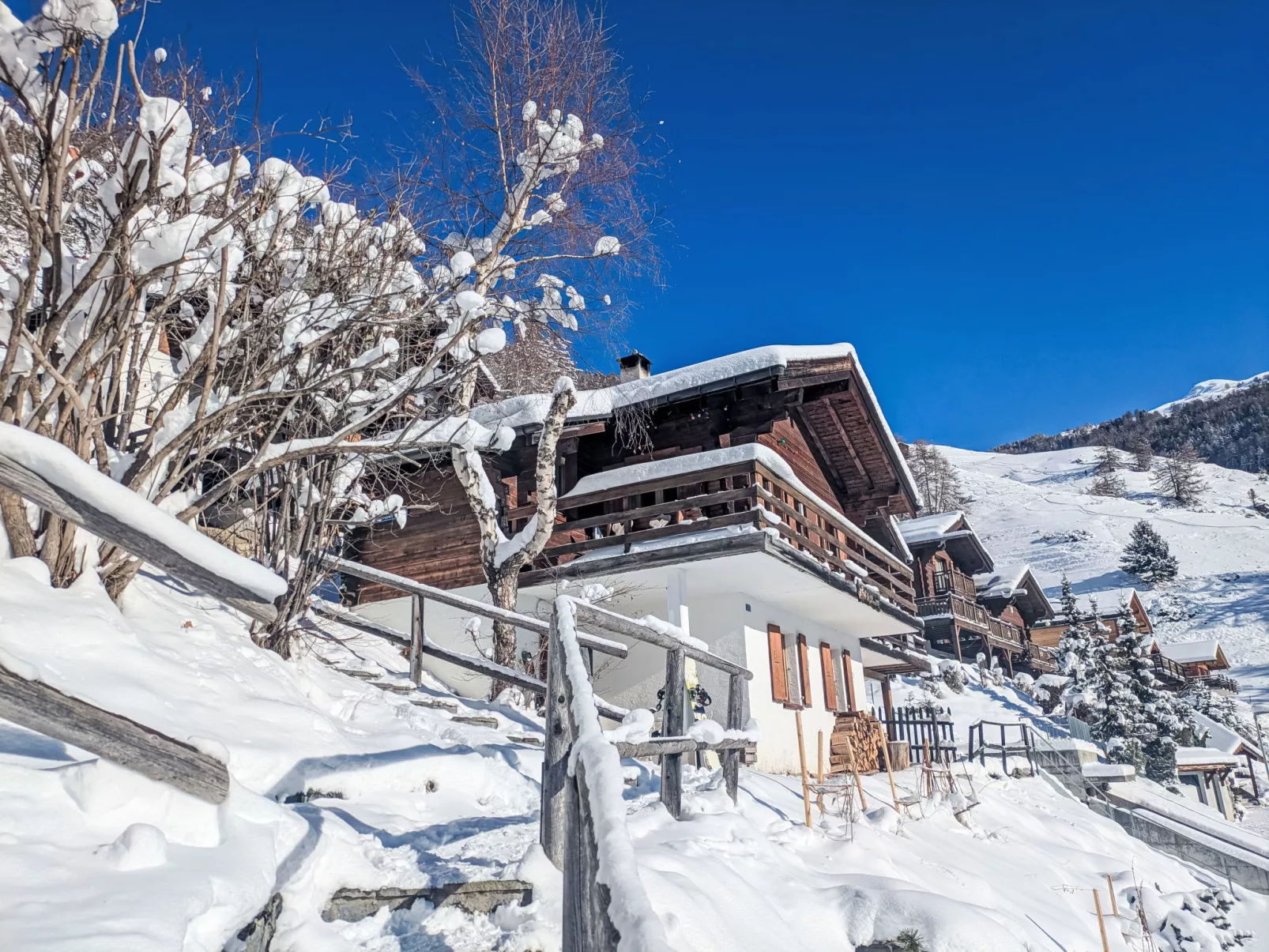 Chalet Le Griffon - Buiten
