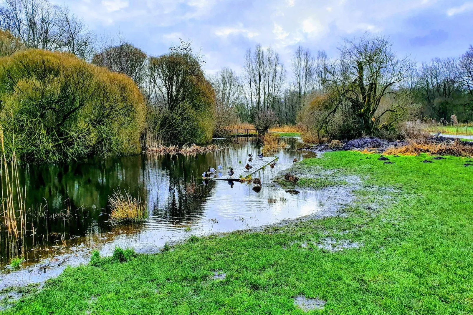 Jomfru Ane Standard Double - Gebieden zomer 5km
