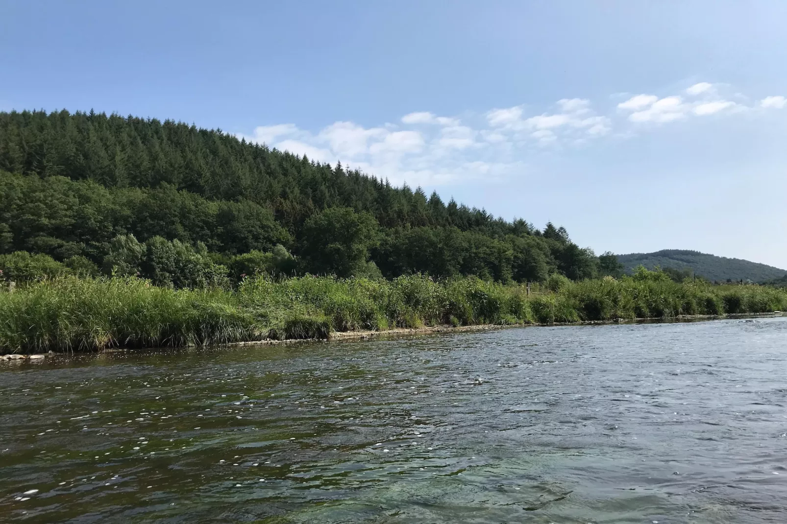 Au Coeur d'Alle Single Room - Gebieden zomer 5km