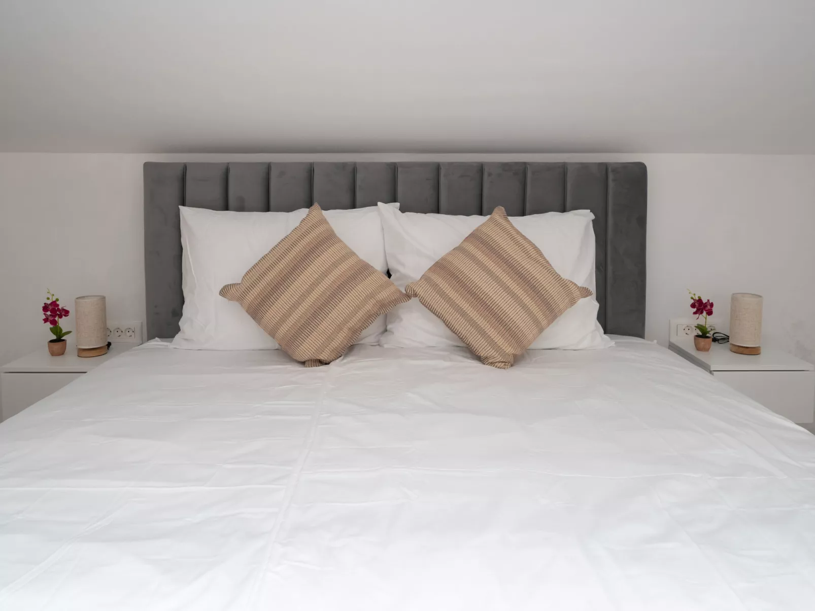 Mediterranee Oliva - Binnen