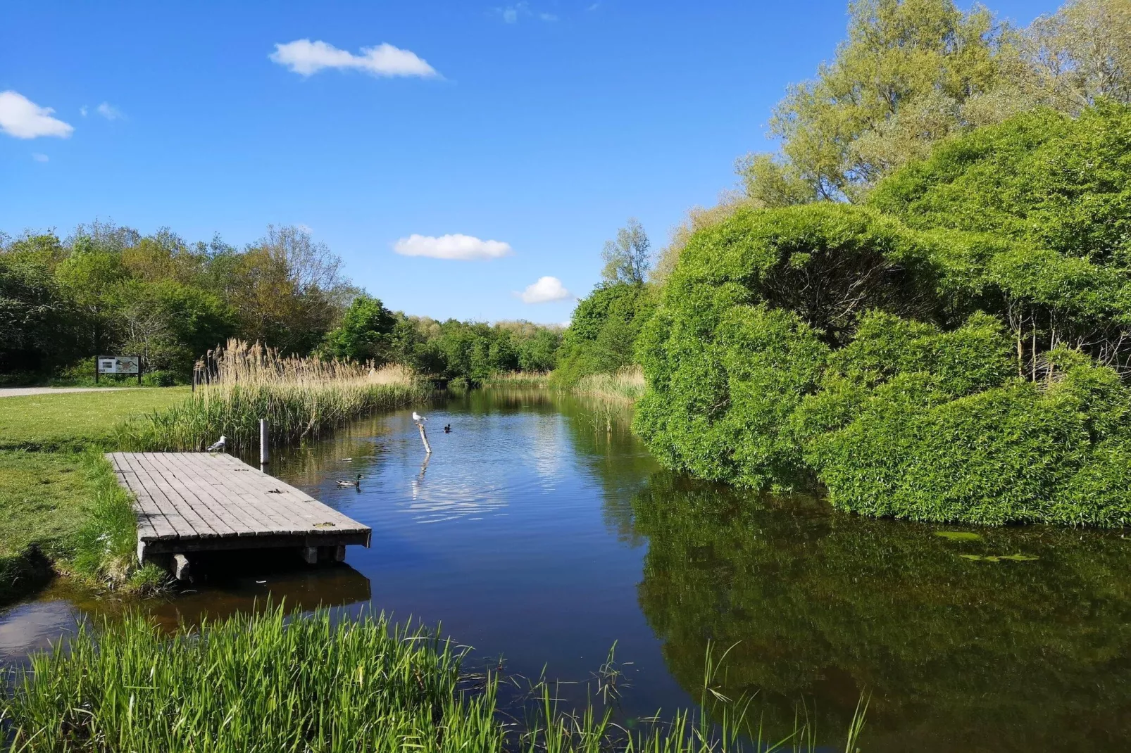Jomfru Ane Premium Twin - Gebieden zomer 5km